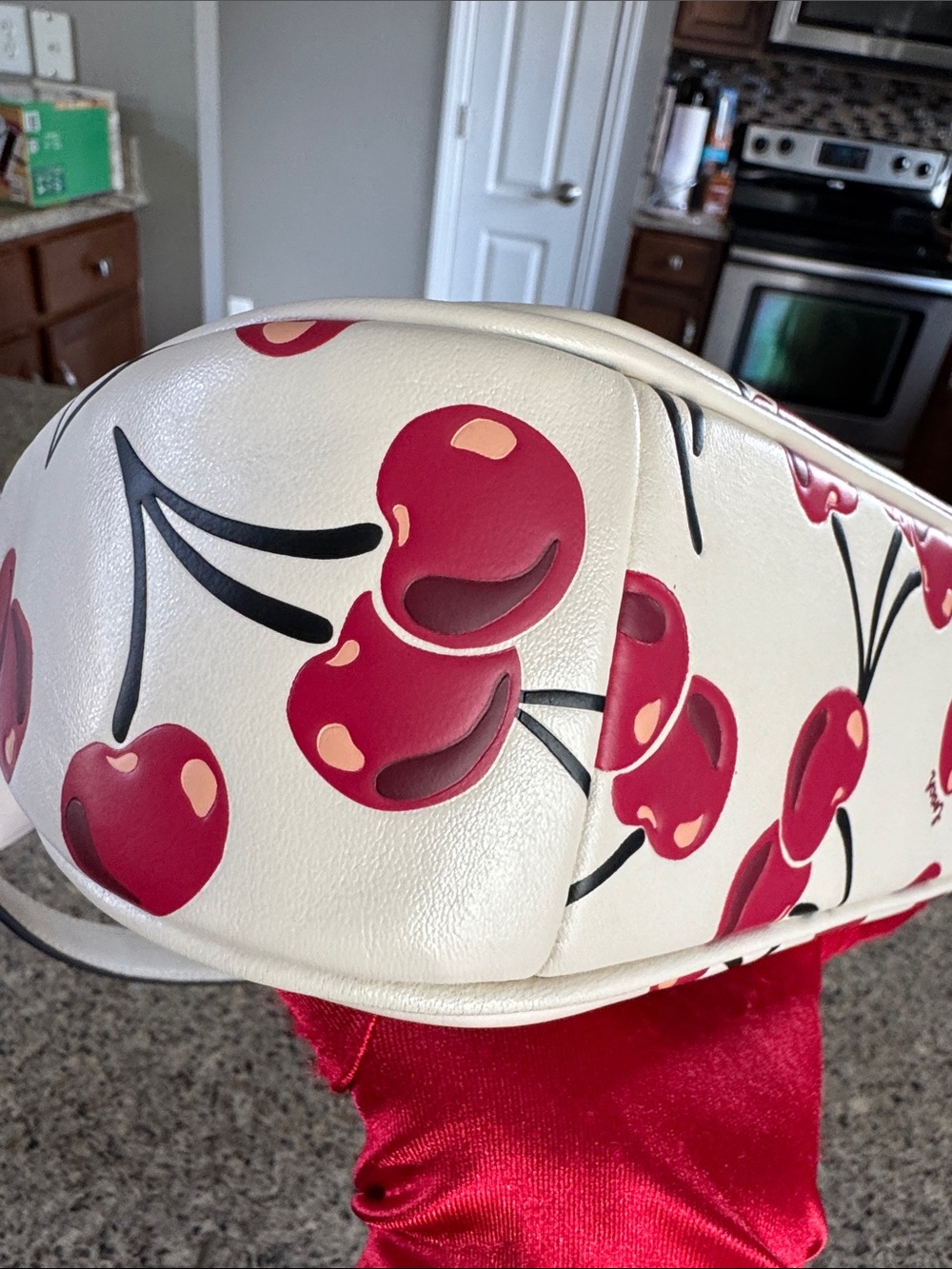 πCoachTeri Shoulder Bag With Cherry Print #CZ774π LIKE NEWπ - Picture 8 of 17